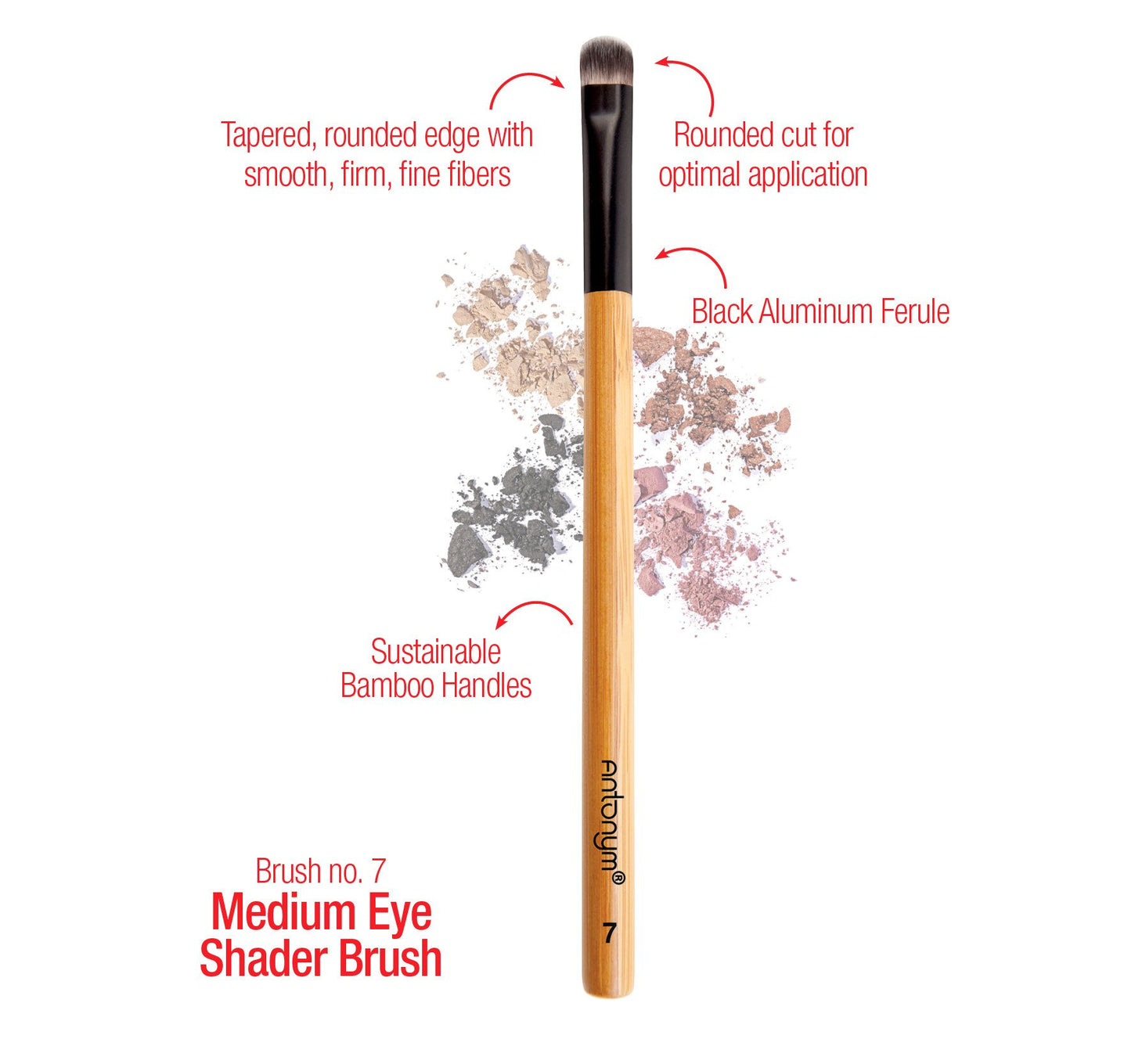 Antonym Cosmetics Vegan Medium Eye Shader Brush #7