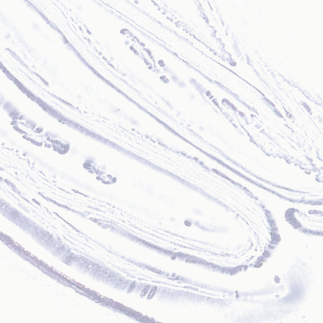 Ere Perez Mango Lip Honey ~ Glaze