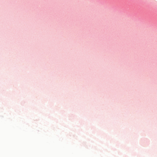 Ere Perez Mango Lip Honey ~ Pop