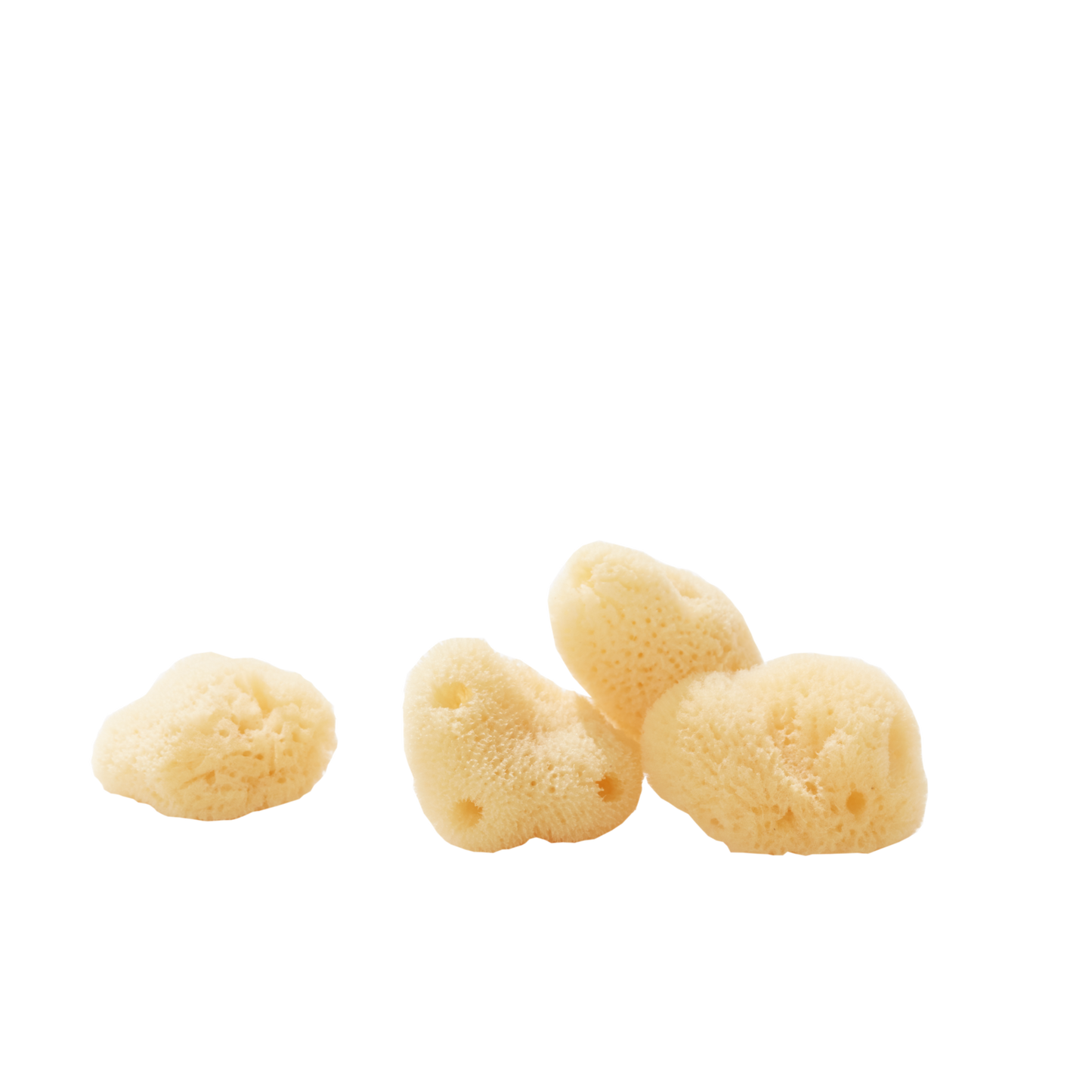 well kept Silk Sea Sponge ~ extra small